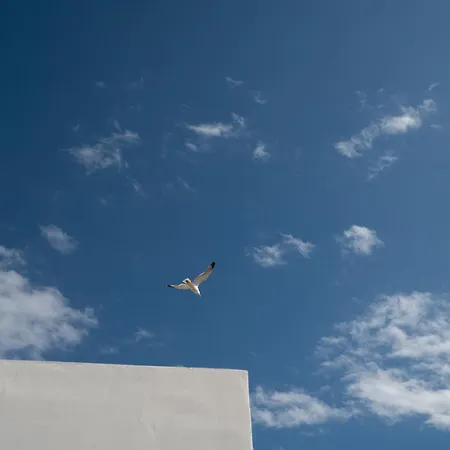 Private Rooftop - Acropolis View - Jacuzzi - Metro Athens Exterior photo