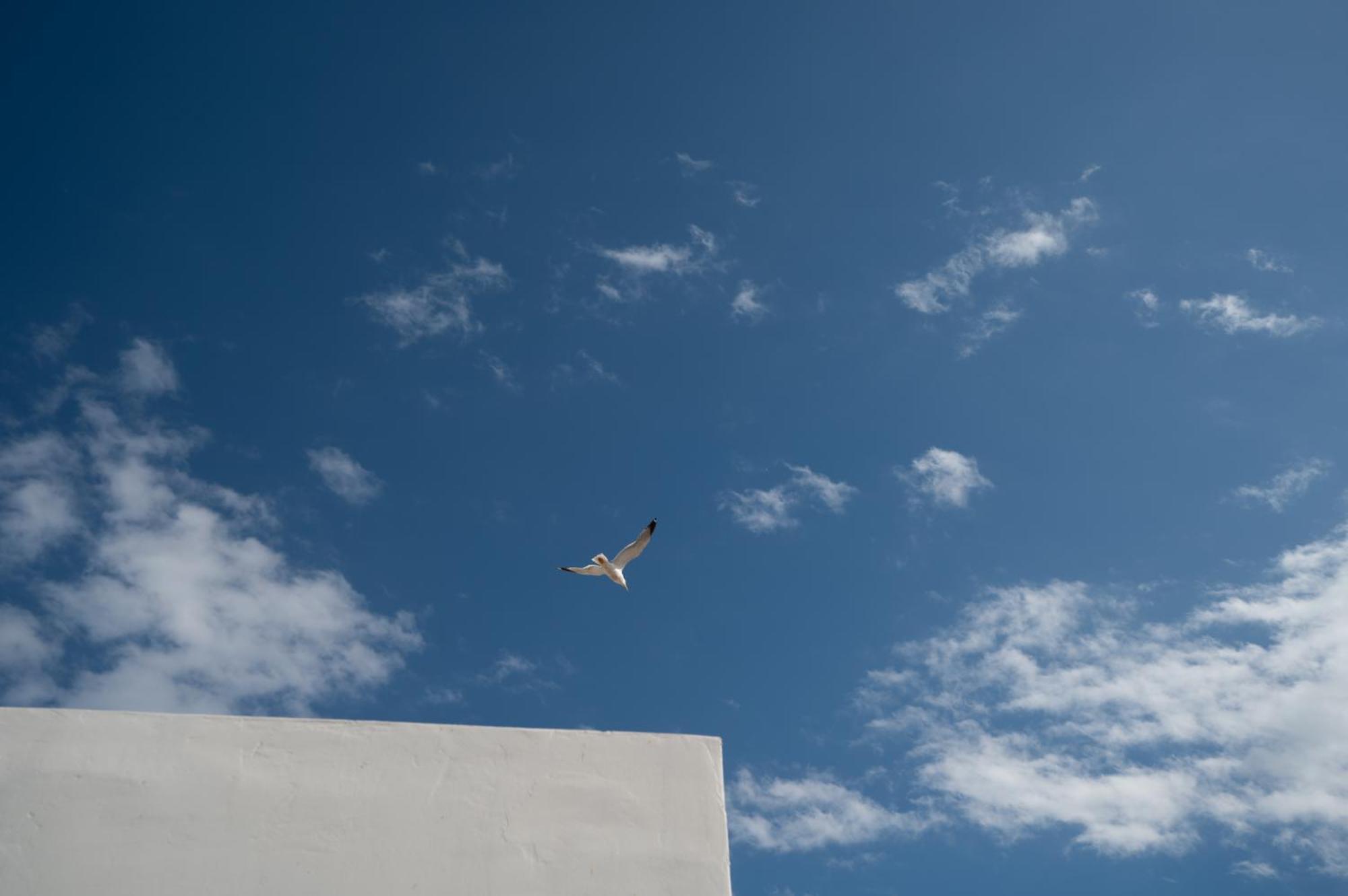 Apartamento Private Rooftop - Acropolis View - Jacuzzi - Metro *